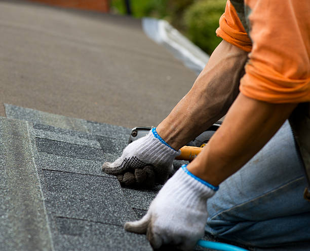 Best Roof Gutter Cleaning  in Cornelius, NC